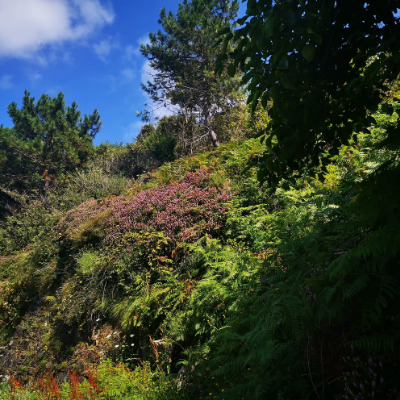 foto de San Sebastián